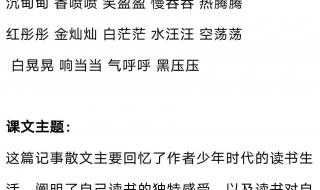 我的长生果课堂笔记